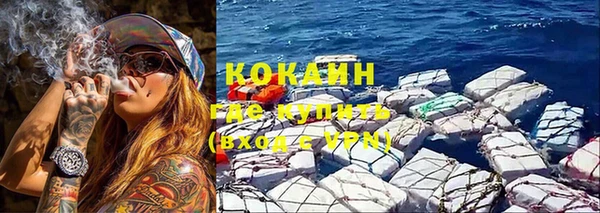 стаф Абаза