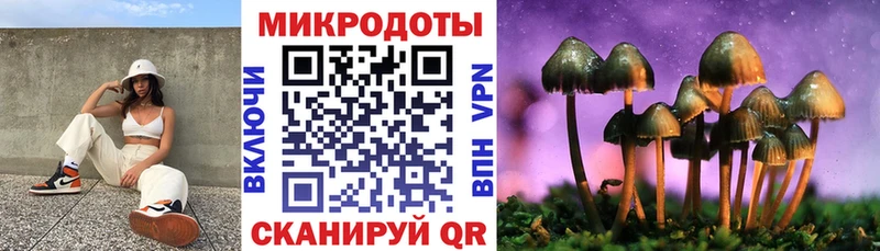 что такое   Богородск  mega ТОР  Галлюциногенные грибы Psilocybe 